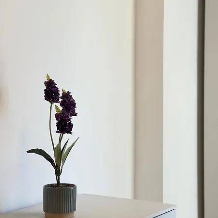 Beachfront Design Private Parking Ac Center Wifi * Civitanova Marche